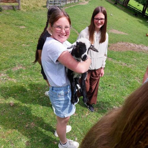 TIERPFLEGE
